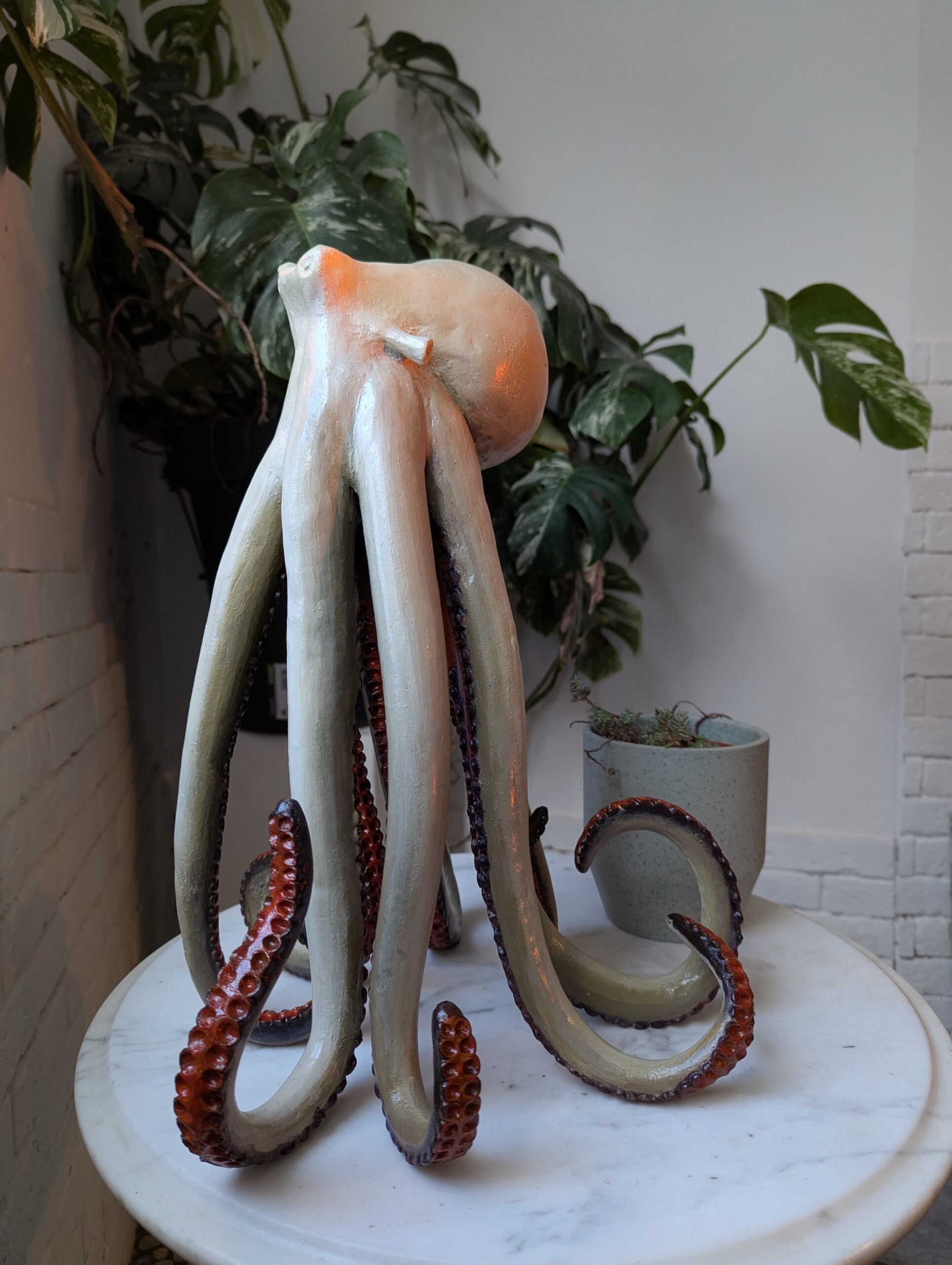 PXL_20241217_134300714.MP